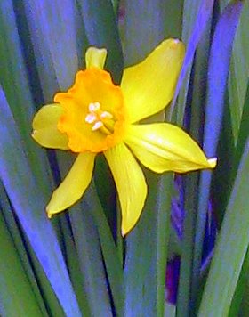 Ime: IMG_3925.JPG Pregleda: 33 Veličina: 27.4 KB