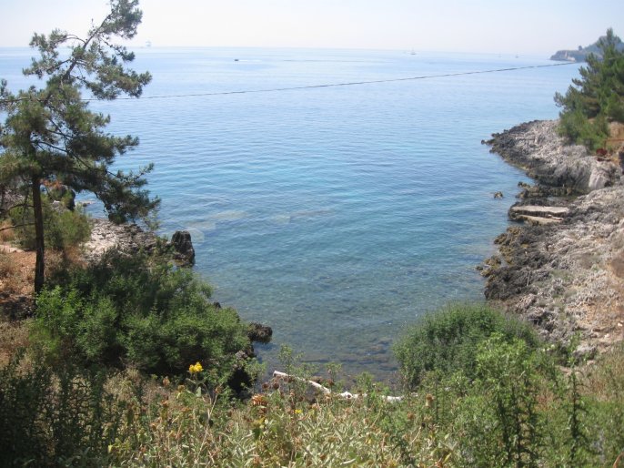 Ime: IMG_4191.jpg Pregleda: 29 Veličina: 98.3 KB