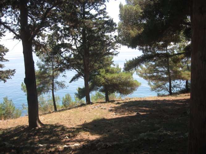 Ime: IMG_4198.jpg Pregleda: 35 Veličina: 99.5 KB