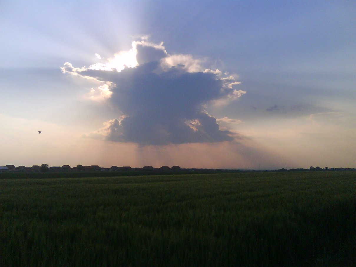 Ime: DSC02702.jpg Pregleda: 39 Veličina: 94.9 KB