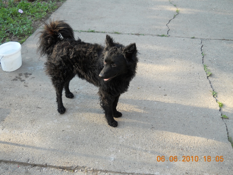 Ime: DSCN0326.JPG Pregleda: 2526 Veličina: 328.9 KB