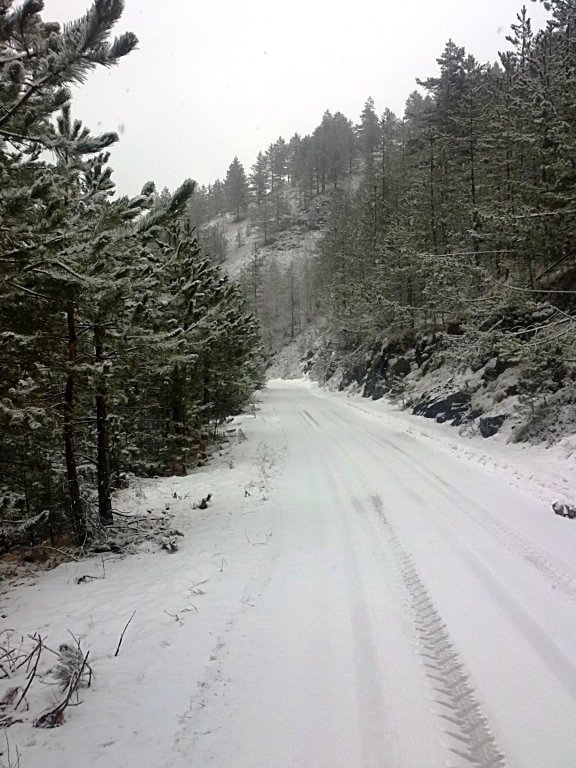 Ime: Zlatibor.jpg Pregleda: 37 Veličina: 105.5 KB
