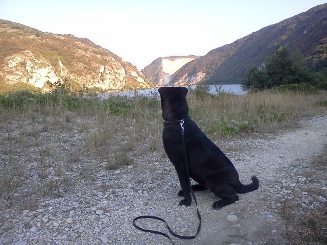 Ime: IMG20110916_087.jpg Pregleda: 4899 Veličina: 213.1 KB