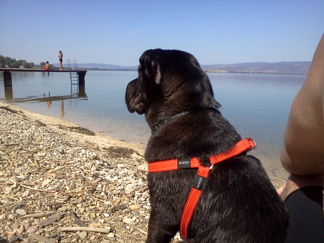 Ime: IMG20110917_068.jpg Pregleda: 4994 Veličina: 192.7 KB