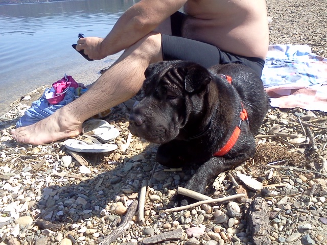 Ime: IMG20110917_071.jpg Pregleda: 5279 Veličina: 192.5 KB