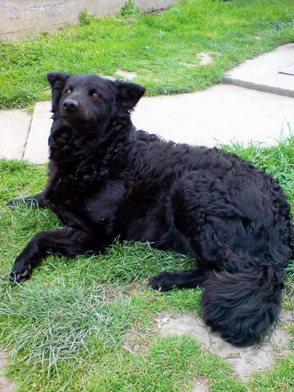 Ime: DSC00011.jpg Pregleda: 6984 Veličina: 139.0 KB