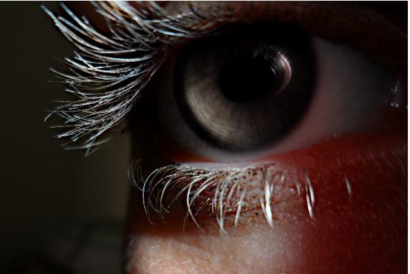 Ime: 313468_1804154281933_1782165369_1247654_2045971516_n.jpg Pregleda: 78 Veličina: 30.0 KB