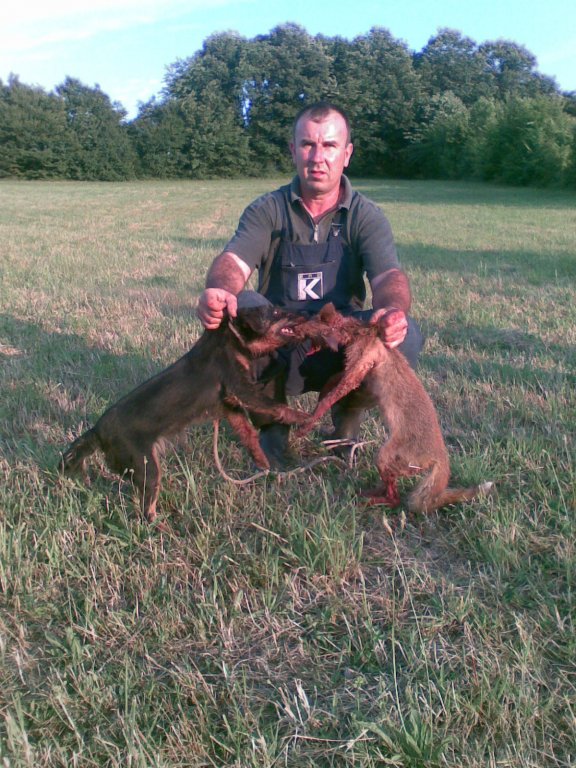 Ime: Slika333.jpg Pregleda: 1202 Veličina: 132.7 KB