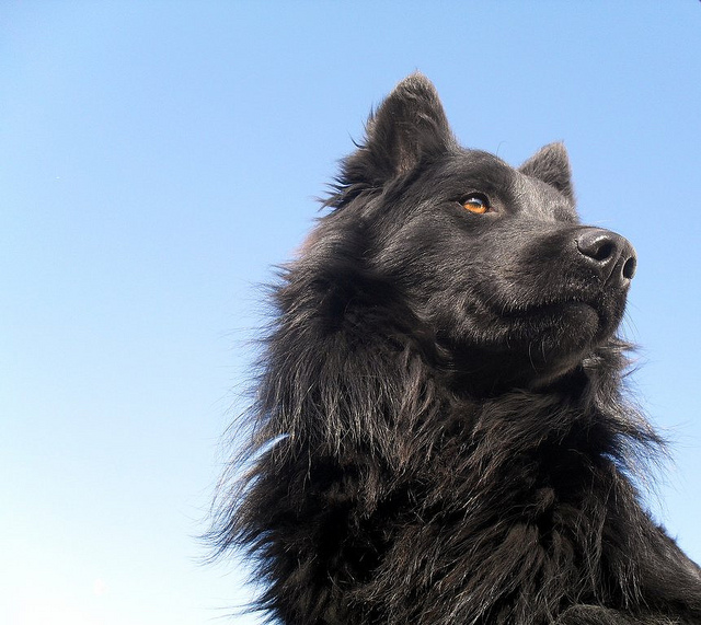 Ime: 5424571129_f54ec868d3_z.jpg Pregleda: 2459 Veličina: 162.0 KB