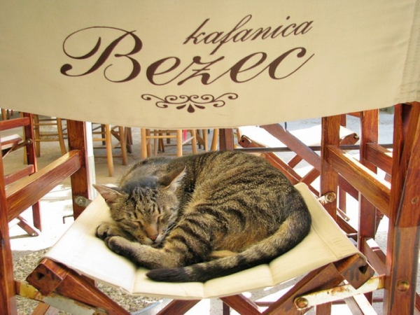 Ime: 4e88cd72a94fbdc40b3048cf77159095.jpg Pregleda: 720 Veličina: 212.1 KB