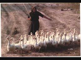 Ime: salaš14.jpg Pregleda: 794 Veličina: 9.8 KB