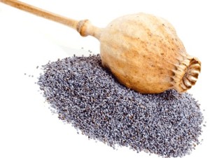 Ime: mak-5-300x225.jpg Pregleda: 1321 Veličina: 21.4 KB