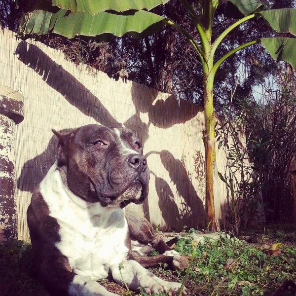 Ime: cikooo.jpg Pregleda: 508 Veličina: 126.3 KB