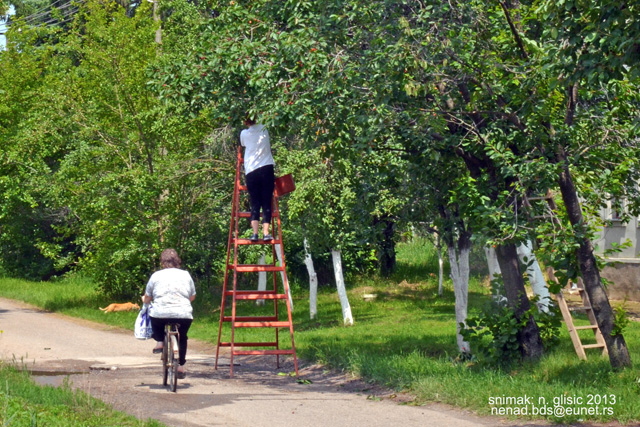 Ime: 0 (4).jpg Pregleda: 3430 Veličina: 234.2 KB