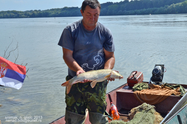 Ime: 0 (12).jpg Pregleda: 3265 Veličina: 141.4 KB