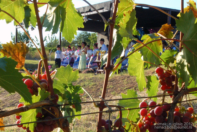 Ime: 0 (14).jpg Pregleda: 2683 Veličina: 210.0 KB