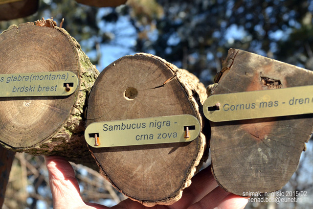 Ime: 0 (3).jpg Pregleda: 709 Veličina: 160.4 KB