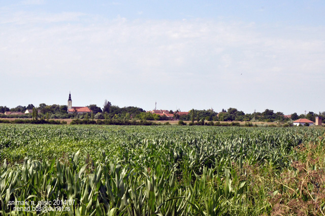 Ime: 1DSC_4081.jpg Pregleda: 2365 Veličina: 162.6 KB