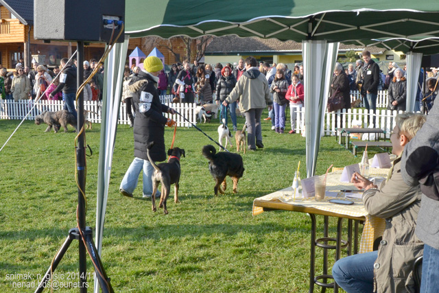 Ime: 1DSC_5566.jpg Pregleda: 1055 Veličina: 208.0 KB