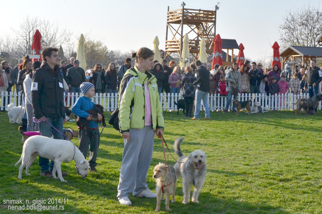 Ime: 1DSC_5568.jpg Pregleda: 739 Veličina: 186.3 KB