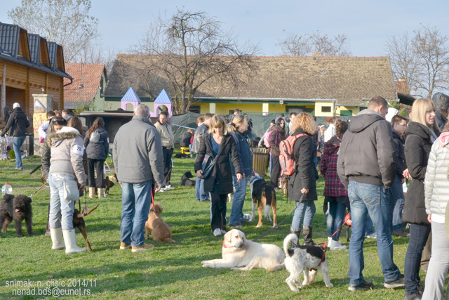 Ime: 1DSC_5569.jpg Pregleda: 771 Veličina: 184.9 KB