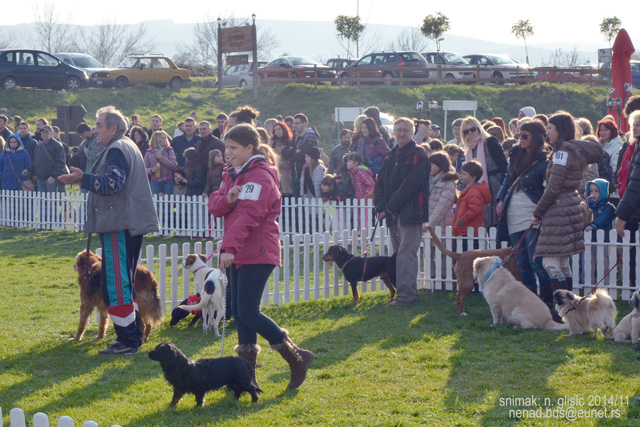 Ime: 1DSC_5573.jpg Pregleda: 675 Veličina: 181.3 KB