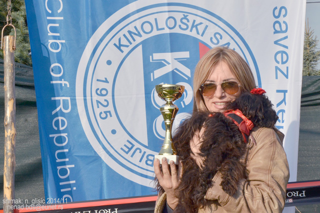 Ime: 1DSC_5577.jpg Pregleda: 465 Veličina: 162.6 KB