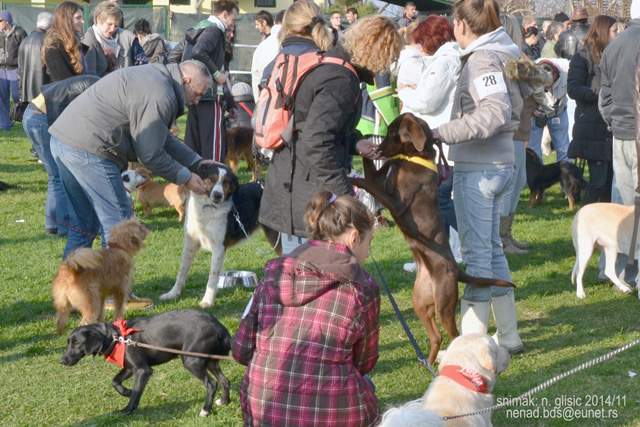 Ime: 1DSC_5579.jpg Pregleda: 768 Veličina: 188.9 KB