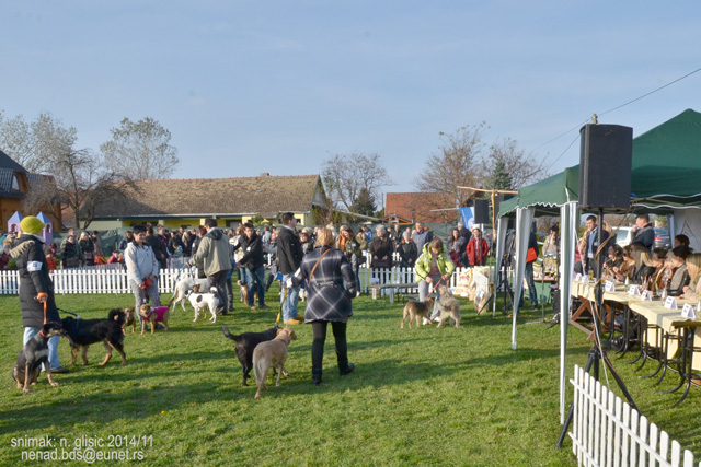 Ime: 1DSC_5582.jpg Pregleda: 634 Veličina: 160.4 KB