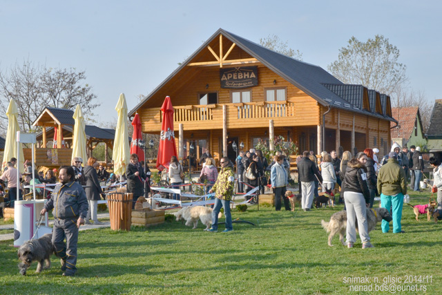 Ime: 1DSC_5586.jpg Pregleda: 659 Veličina: 175.1 KB