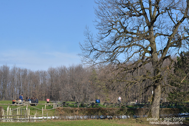 Ime: 0.jpg Pregleda: 1815 Veličina: 191.7 KB