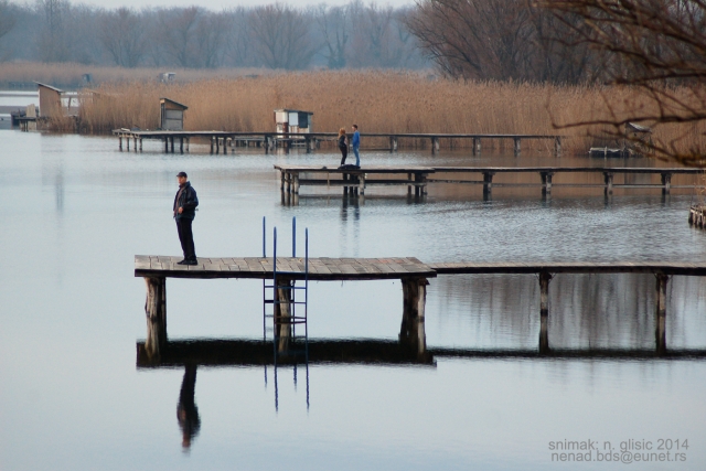 Ime: Z (7).JPG Pregleda: 1545 Veličina: 206.0 KB