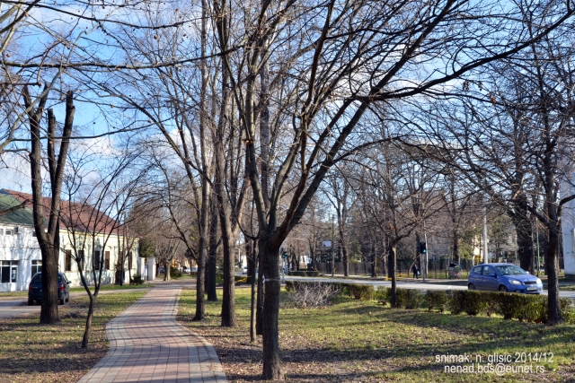 Ime: M (1).JPG Pregleda: 2605 Veličina: 380.9 KB