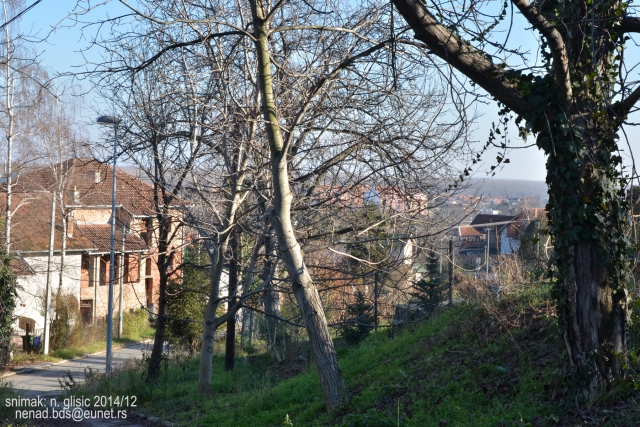 Ime: M (6).JPG Pregleda: 2144 Veličina: 348.6 KB