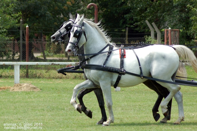 Ime: TF.JPG Pregleda: 2522 Veličina: 255.9 KB