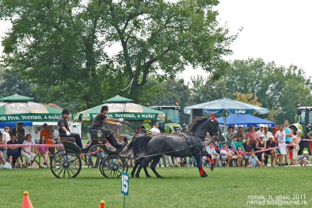 Ime: TF (12).JPG Pregleda: 2465 Veličina: 321.0 KB