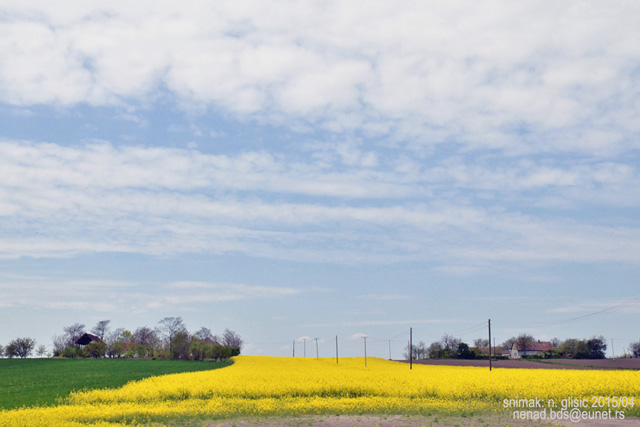 Ime: Repica (3)_1.jpg Pregleda: 1494 Veličina: 96.3 KB