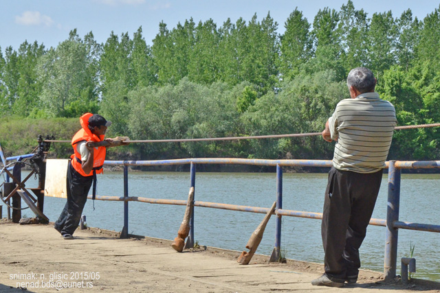 Ime: T (6).jpg Pregleda: 3116 Veličina: 178.3 KB