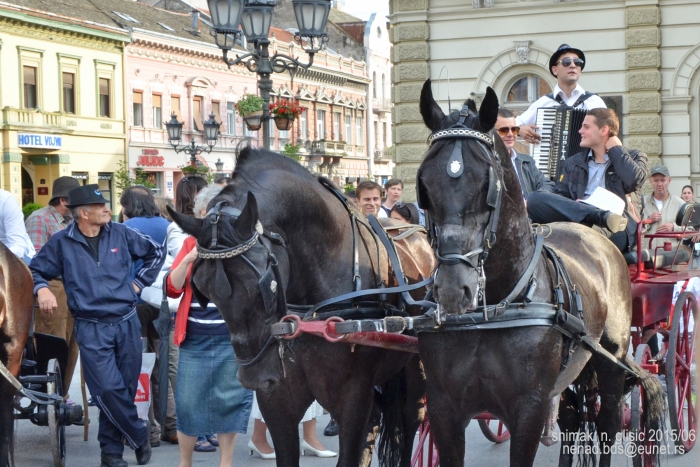 Ime: F (4).JPG Pregleda: 2222 Veličina: 381.6 KB