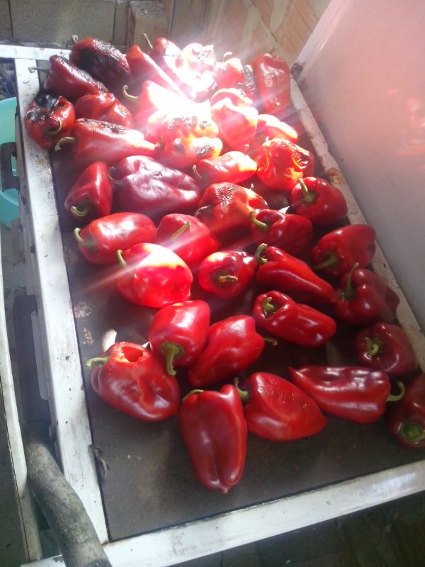 Ime: IMG_20150919_143807.jpg Pregleda: 1574 Veličina: 84.7 KB