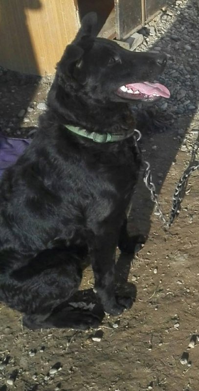 Ime: 532327_10206392031814226_8820489293026569195_n.jpg Pregleda: 1922 Veličina: 66.2 KB