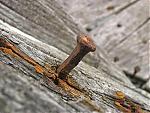 Avatar od  rusty nail