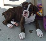 Avatar od  Natasha_bg