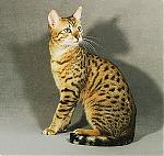 Avatar od  Mia_Rey_17