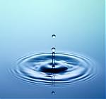 Avatar od  equilibrium