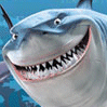 Avatar od  shark
